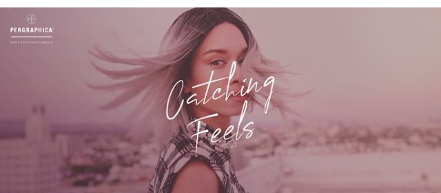 PERGRAPHICA - Catching Feels